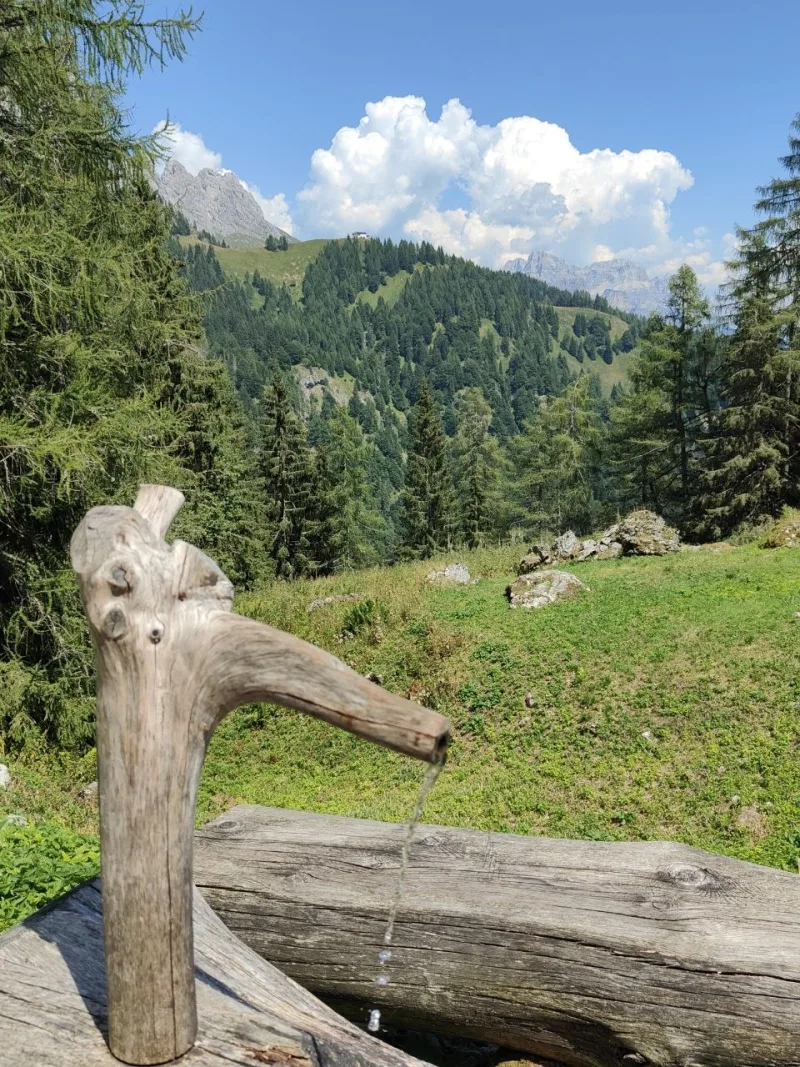 Fontana in legno scavato con l'acqua che scorre, e le Dolomiti sullo sfondo, lungo il percorso verso Frassenè