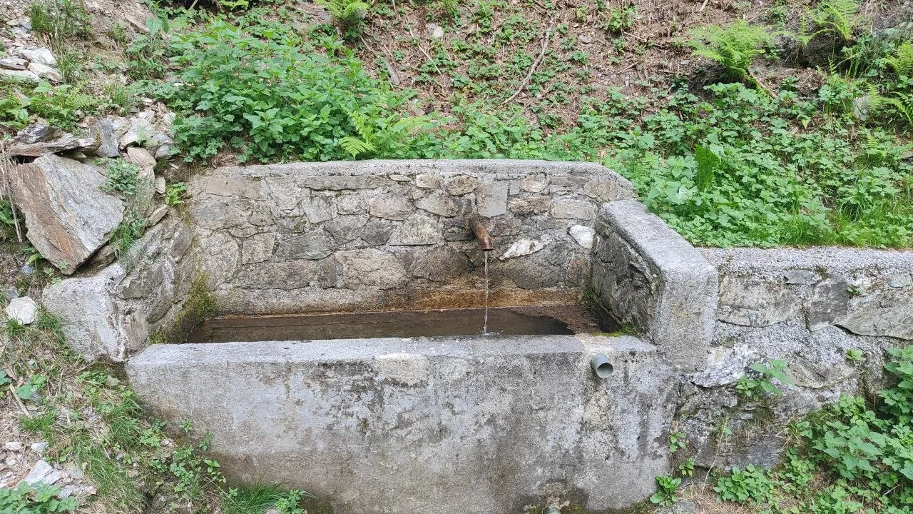 Vecchia fontana di pietra semi nascosta dalla vegetazione nel bosco, lungo il sentiero per Forcella Aurine