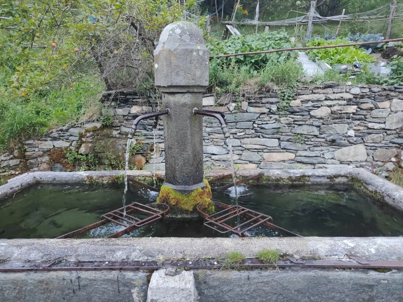 Fontana in pietra con vasca a 4 getti, circondata da un orto lungo il sentiero verso Forcella Aurine
