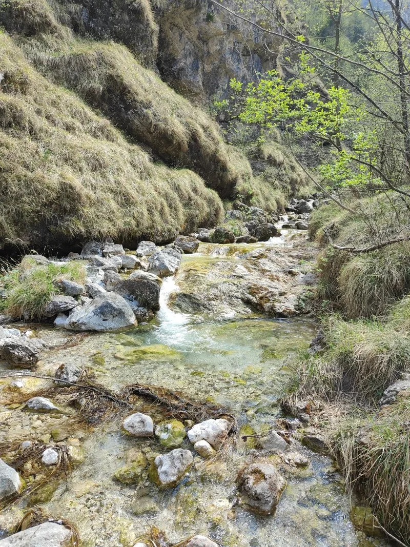 Il torrente della Val Falcina con l'acqua cristallina che scorre tra le rocce