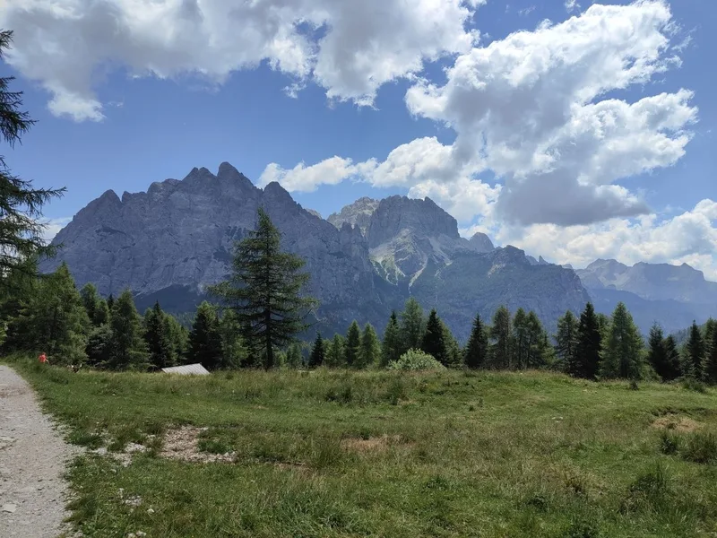 Dal Passo Duran al Rifugio Carestiato: Boschi, Ghiaioni e un Altro Pianeta